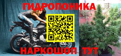 дживик Кандалакша