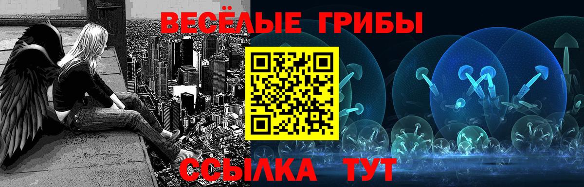 Псилоцибиновые грибы MAGIC MUSHROOMS  Галлюциногенные грибы мицелий  Вход с VPN  Кызыл 